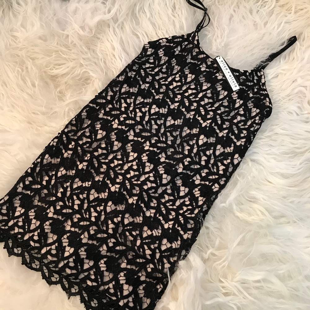 Alice + Olivia Lace Mini Dress